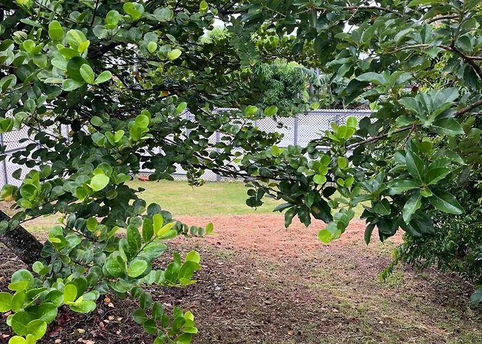 Mango Vert Apartment