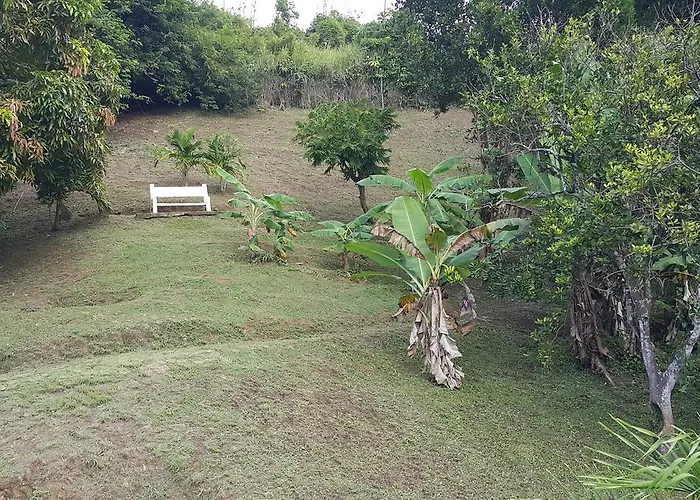 Golden Apple Cottage